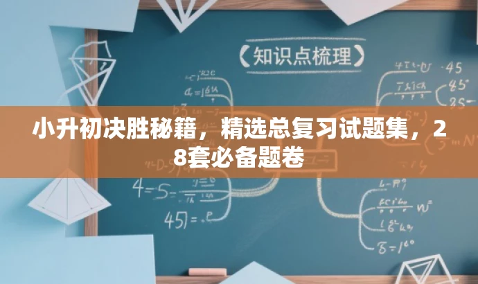 小升初决胜秘籍,精选总复习试题集,28套必备题卷 小升初决胜秘籍,精选总复习试题集,28套必备题卷