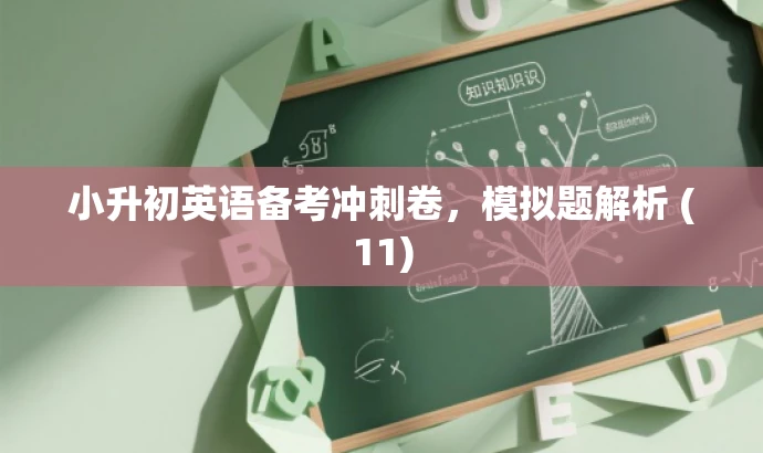 小升初英语备考冲刺卷,模拟题解析 (11) 小升初英语备考冲刺卷,模拟题解析 (11)