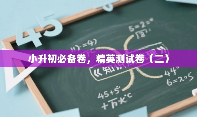 小升初必备卷,精英测试卷(二) 小升初必备卷,精英测试卷(二)