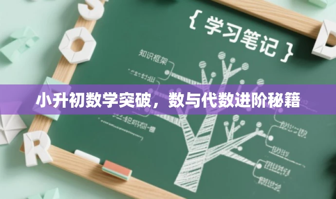 小升初数学突破,数与代数进阶秘籍 小升初数学突破,数与代数进阶秘籍