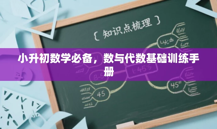 小升初数学必备,数与代数基础训练手册 小升初数学必备,数与代数基础训练手册